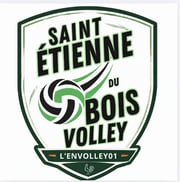 Logo st etienne du bois volley