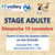 Stage adulte 15 novembre 2026