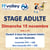 Stage adulte 15 novembre 2028